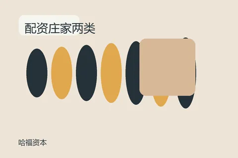 哈福资本配资庄家：两类资料页差异